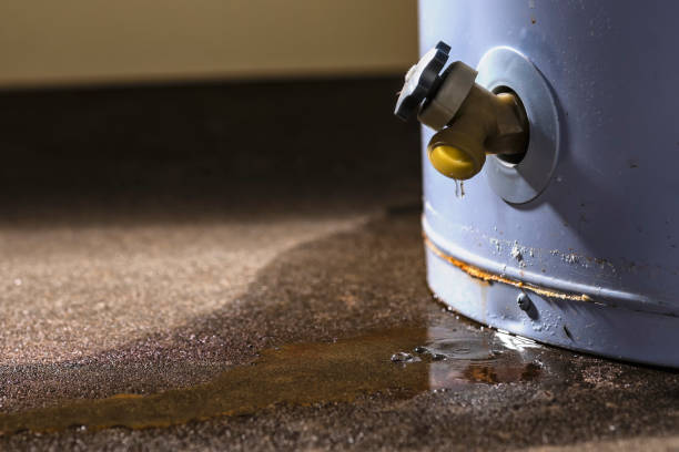 Best Water damage restoration company  in Marshfield, MO