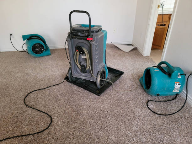 Best Water damage restoration services  in Marshfield, MO