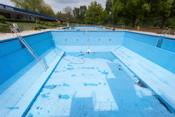 Best Professional water damage repair  in Marshfield, MO
