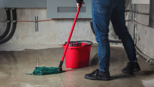 Best Flooded house restoration  in Marshfield, MO