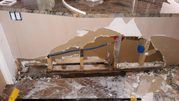 Best Water damage restoration cost  in Marshfield, MO
