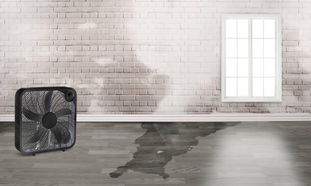 Best 24/7 water damage repair  in Marshfield, MO