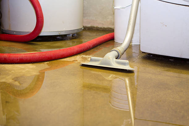 Best Carpet water damage restoration  in Marshfield, MO