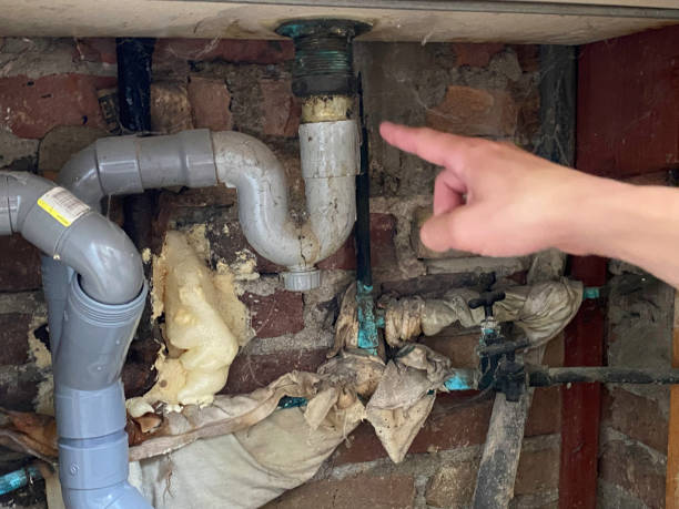 Best 24/7 water damage repair  in Marshfield, MO