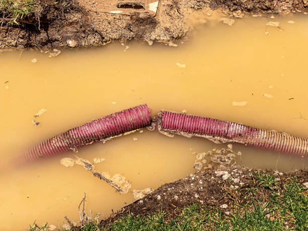 Best Water damage restoration mold remediation  in Marshfield, MO