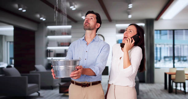 Best Ceiling water damage repair  in Marshfield, MO